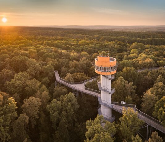 Baumkronenpfad im Nationalpark Hainich startet in die Saison 2026