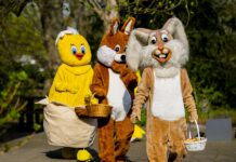 Günter Kastenfrosch, Fidi und das KiKAninchen feiern Ostersonntag im egapark