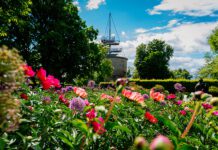 Pfingsten im egapark: Pfingstrosenpracht, Jubiläumshöhepunkte und Familienzeit
