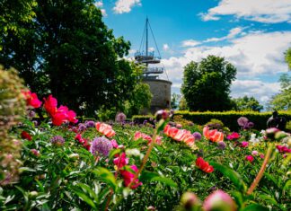 Pfingsten im egapark: Pfingstrosenpracht, Jubiläumshöhepunkte und Familienzeit