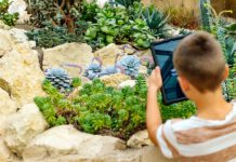 egapark Erfurt: Blumig-bunte Parkerlebnisse