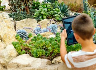 egapark Erfurt: Blumig-bunte Parkerlebnisse