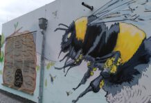 Graffiti im Grünen – ein besonderes Ferienprojekt