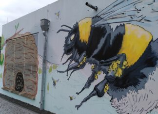 Graffiti im Grünen – ein besonderes Ferienprojekt
