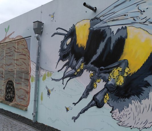 Graffiti im Grünen – ein besonderes Ferienprojekt