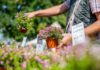 Blütenspektakel und Gartenlust: Thüringer Gartentage im egapark