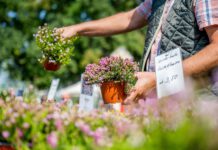 Blütenspektakel und Gartenlust: Thüringer Gartentage im egapark