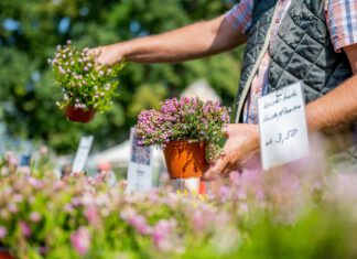 Blütenspektakel und Gartenlust: Thüringer Gartentage im egapark