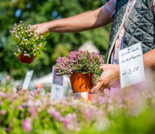 Blütenspektakel und Gartenlust: Thüringer Gartentage im egapark