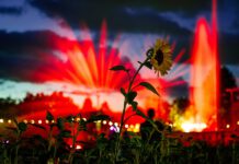 Sommerhighlight im egapark: Lichterfest mit Lasershow, Musik und magischen Begegnungen