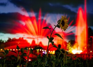 Sommerhighlight im egapark: Lichterfest mit Lasershow, Musik und magischen Begegnungen