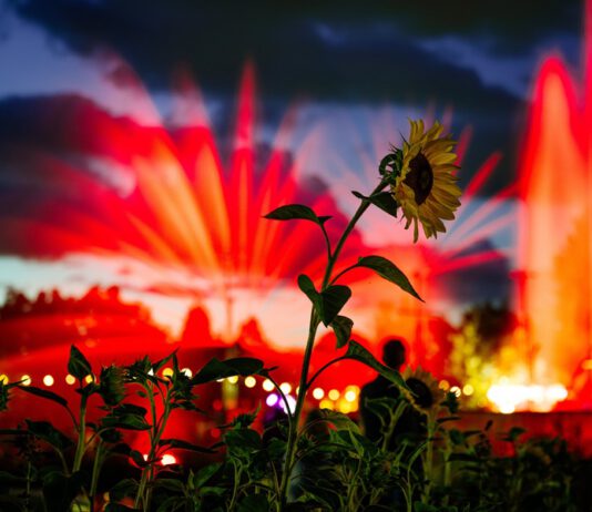 Sommerhighlight im egapark: Lichterfest mit Lasershow, Musik und magischen Begegnungen