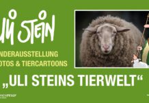 „Uli Steins Tierwelt“ im Nationalparkzentrum Hainich