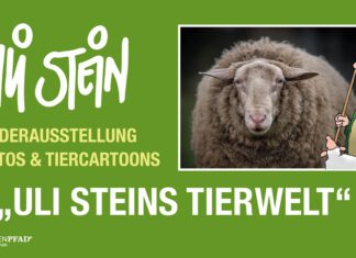 „Uli Steins Tierwelt“ im Nationalparkzentrum Hainich